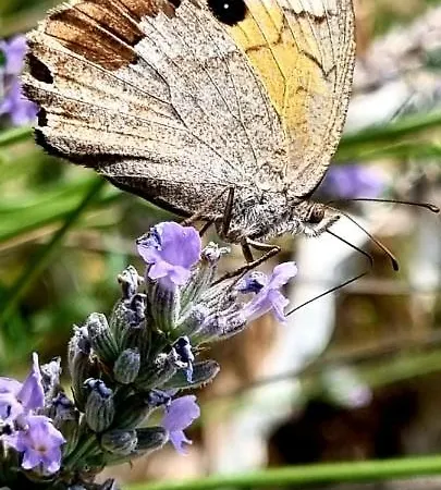 Casa vacanze Kuca Za Odmor Leptiric *