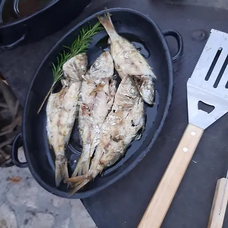 Kuca Za Odmor Leptiric Prázdninový dům